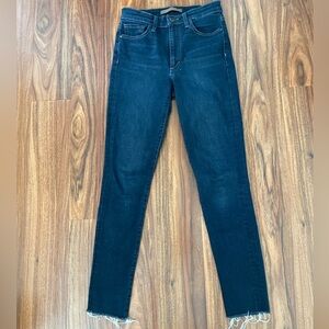 Joe's Jeans Dark Indigo Skinny Jeans